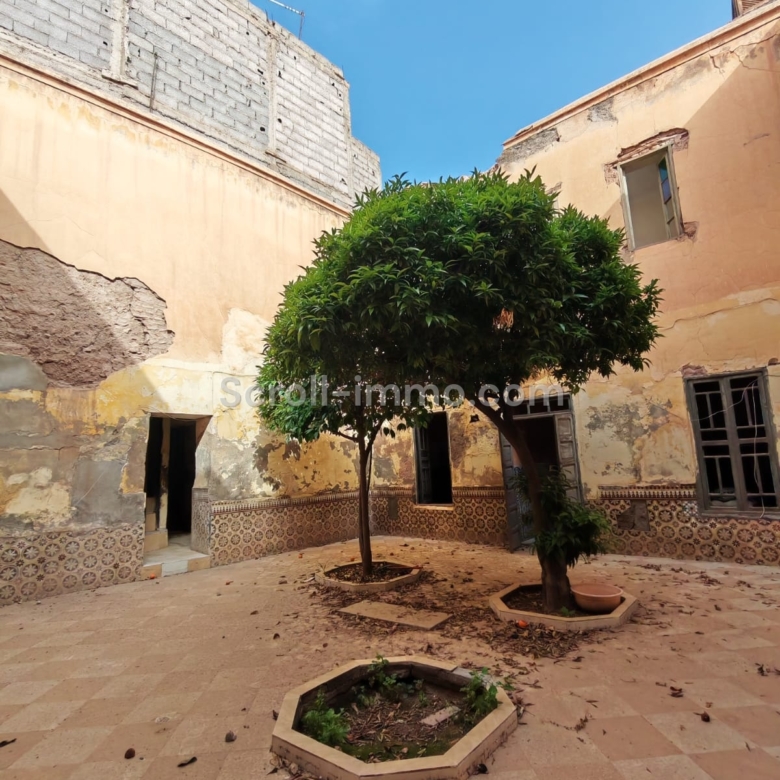 Riad 162m² Titré à démolir – Quartier Zaouia