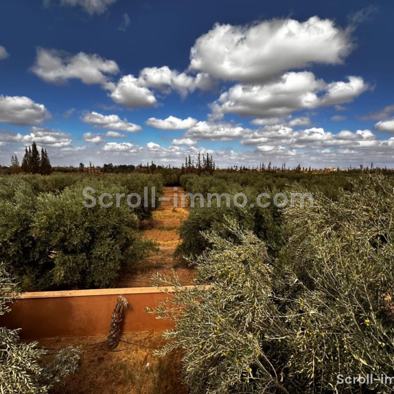 Ferme de prestige – Route de l’Ourika, Marrakech