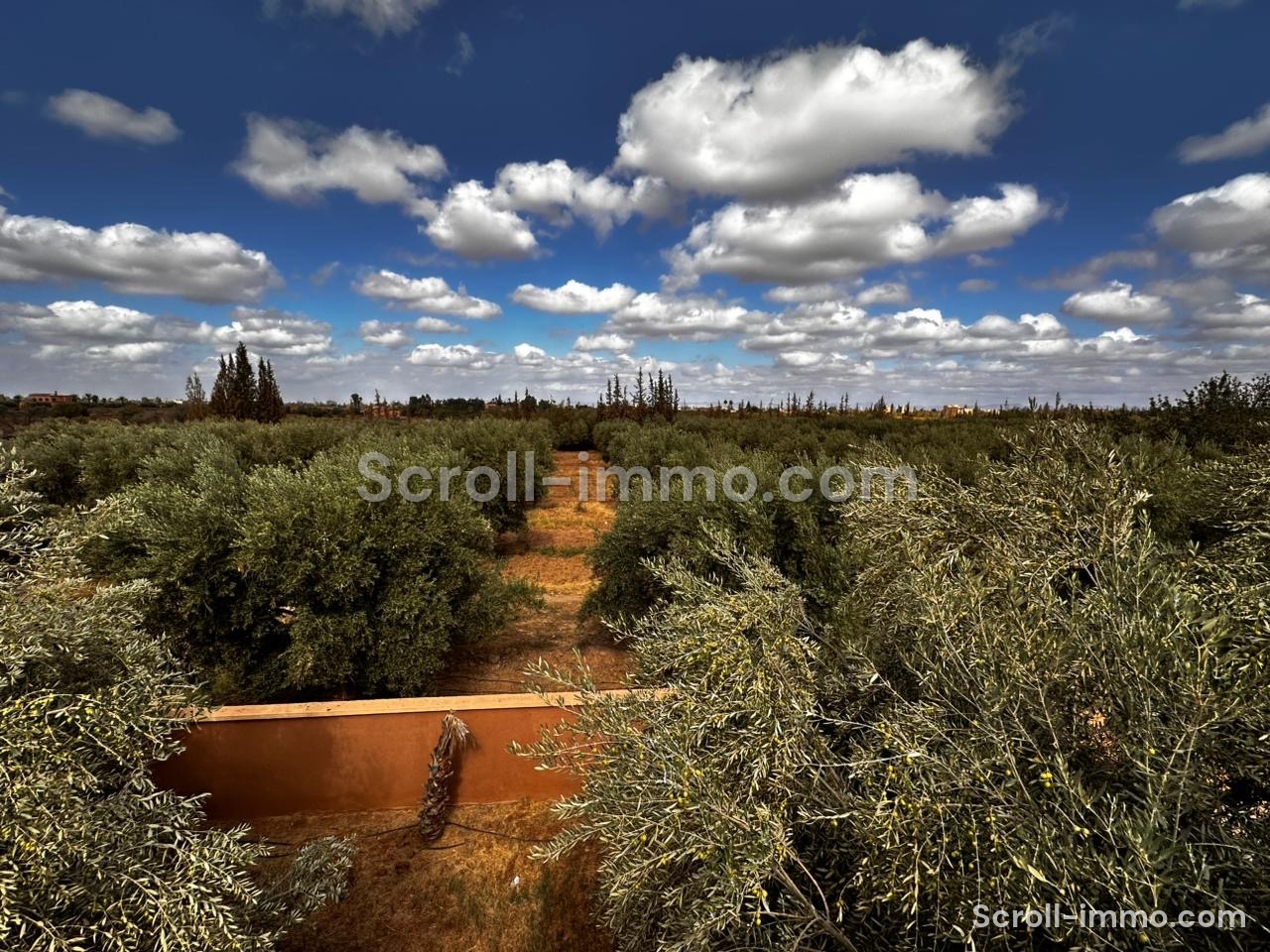 Ferme de prestige – Route de l’Ourika, Marrakech
