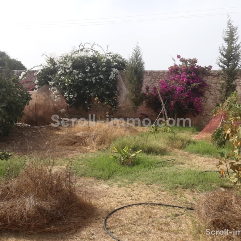 Villa titrée 150m2 sur parcelle 3900m2 – Essaouira