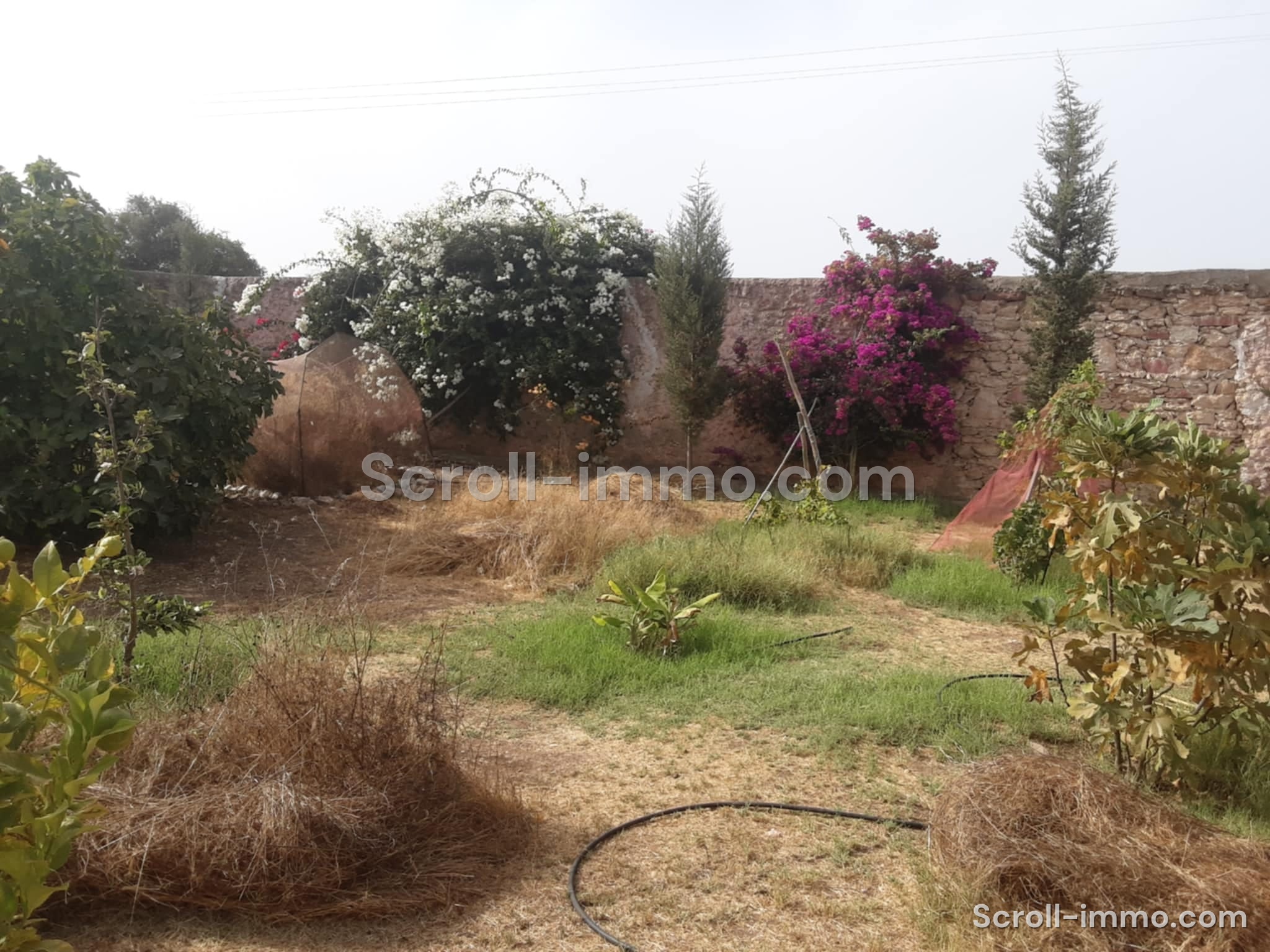 Villa titrée 150m2 sur parcelle 3900m2 – Essaouira