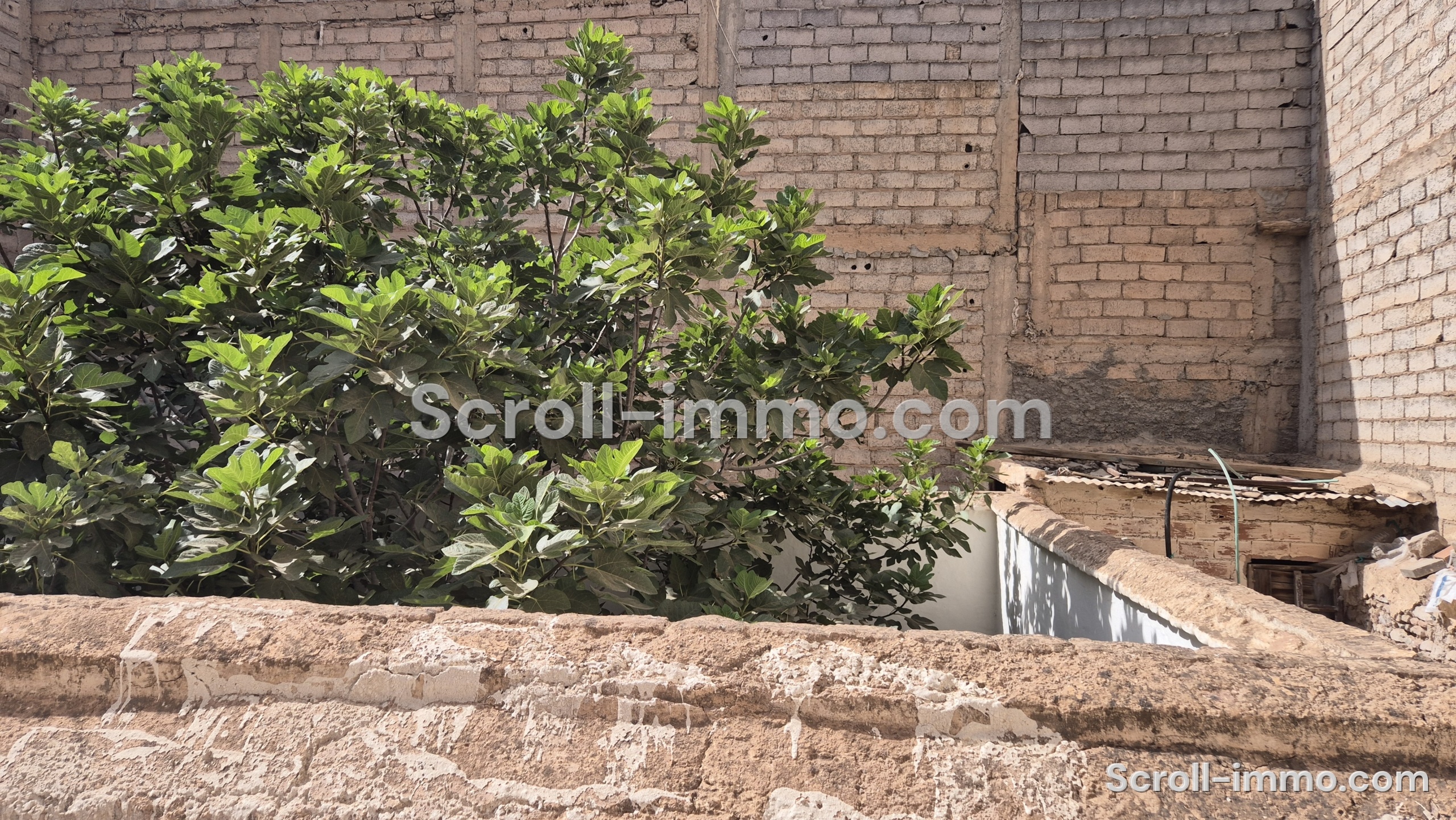 Riad 162m2 à reconstruire Melkia