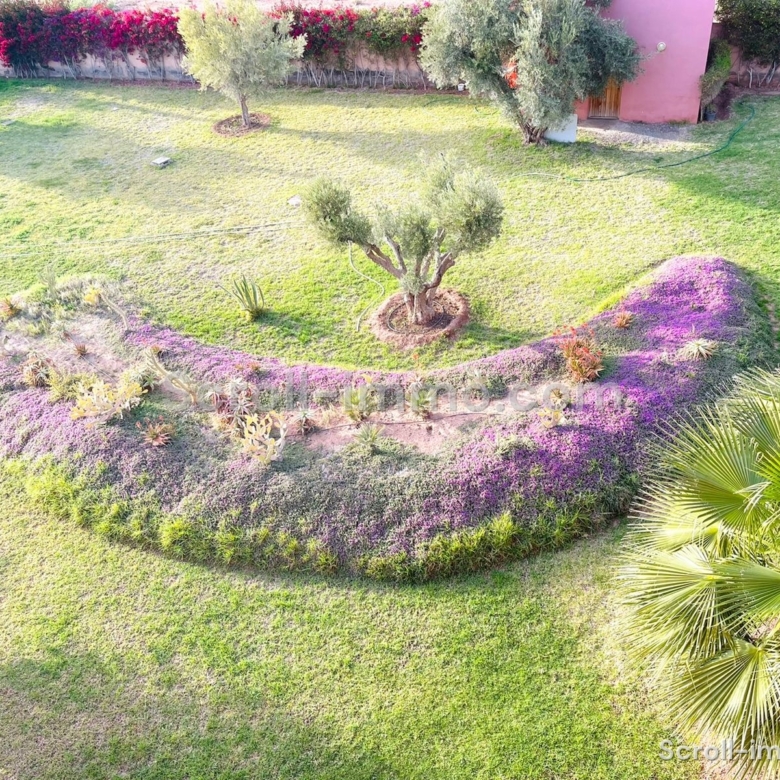 Villa contemporaine 1 Hectare Route du Barrage – 5 Suites