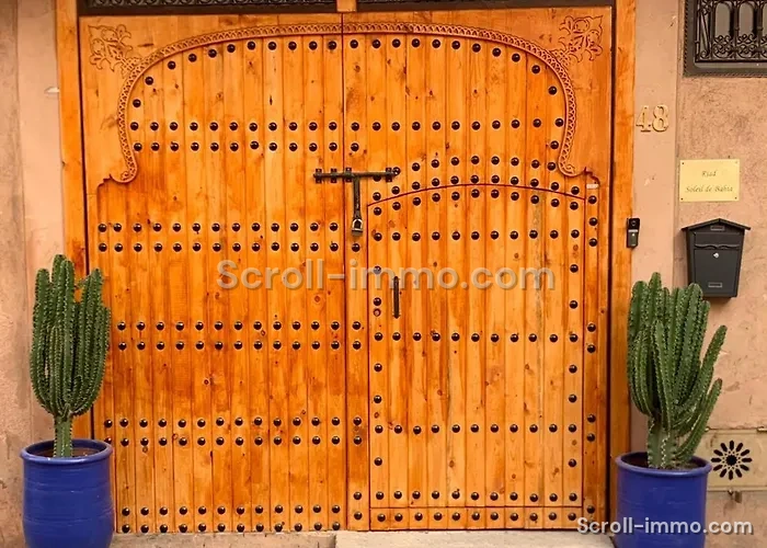Riad Titré coup de cœur