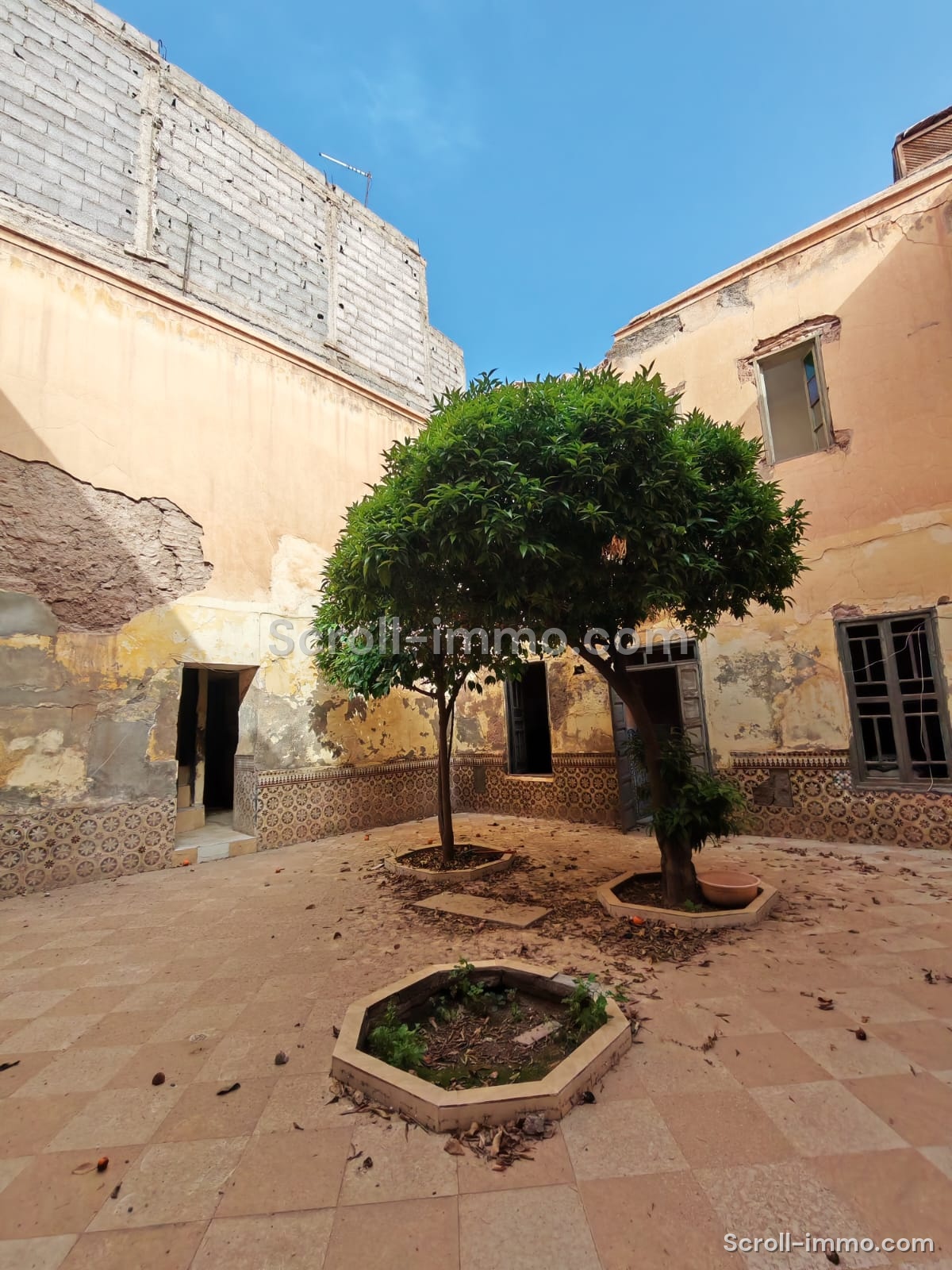 2ad4abb9-adf1-454b-a8a5-c26ba1103e19-IMG_0508 Riad 162m² Titré à démolir – Quartier Zaouia