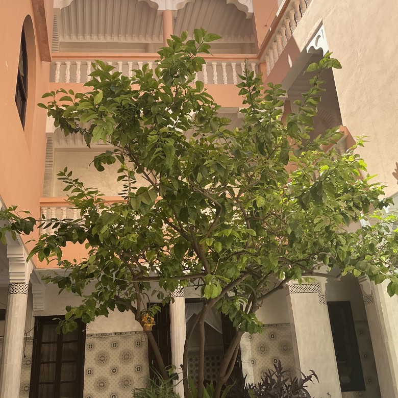 Riad 321m² 5 chambre melkia – Quartier Berrima