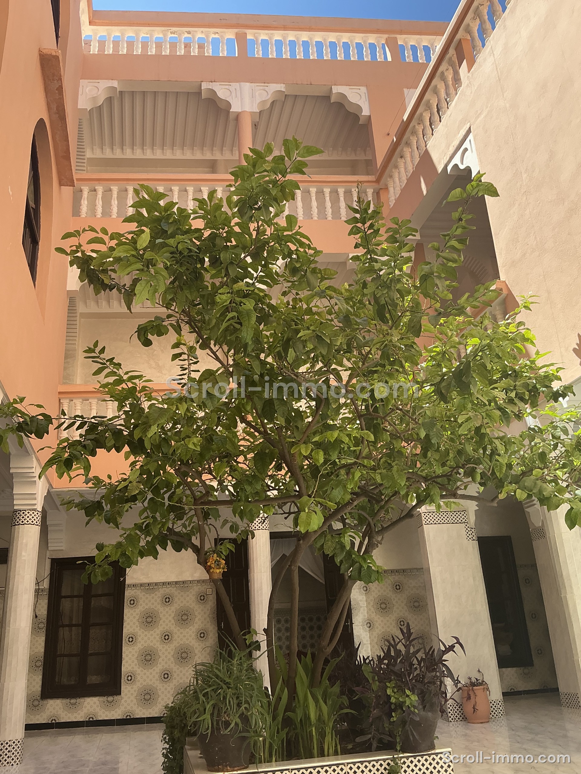 Riad 321m² 5 chambre melkia – Quartier Berrima