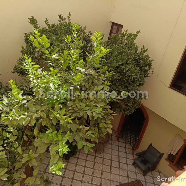 Riad 269m² Titré 13 suites – Quartier Kennaria