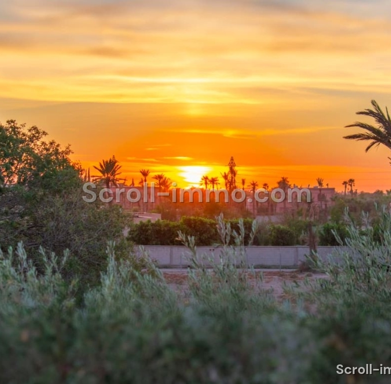 Magnifique Villa Contemporaine à vendre à la Palmeraie (Bab Atlas)– Marrakech Villa