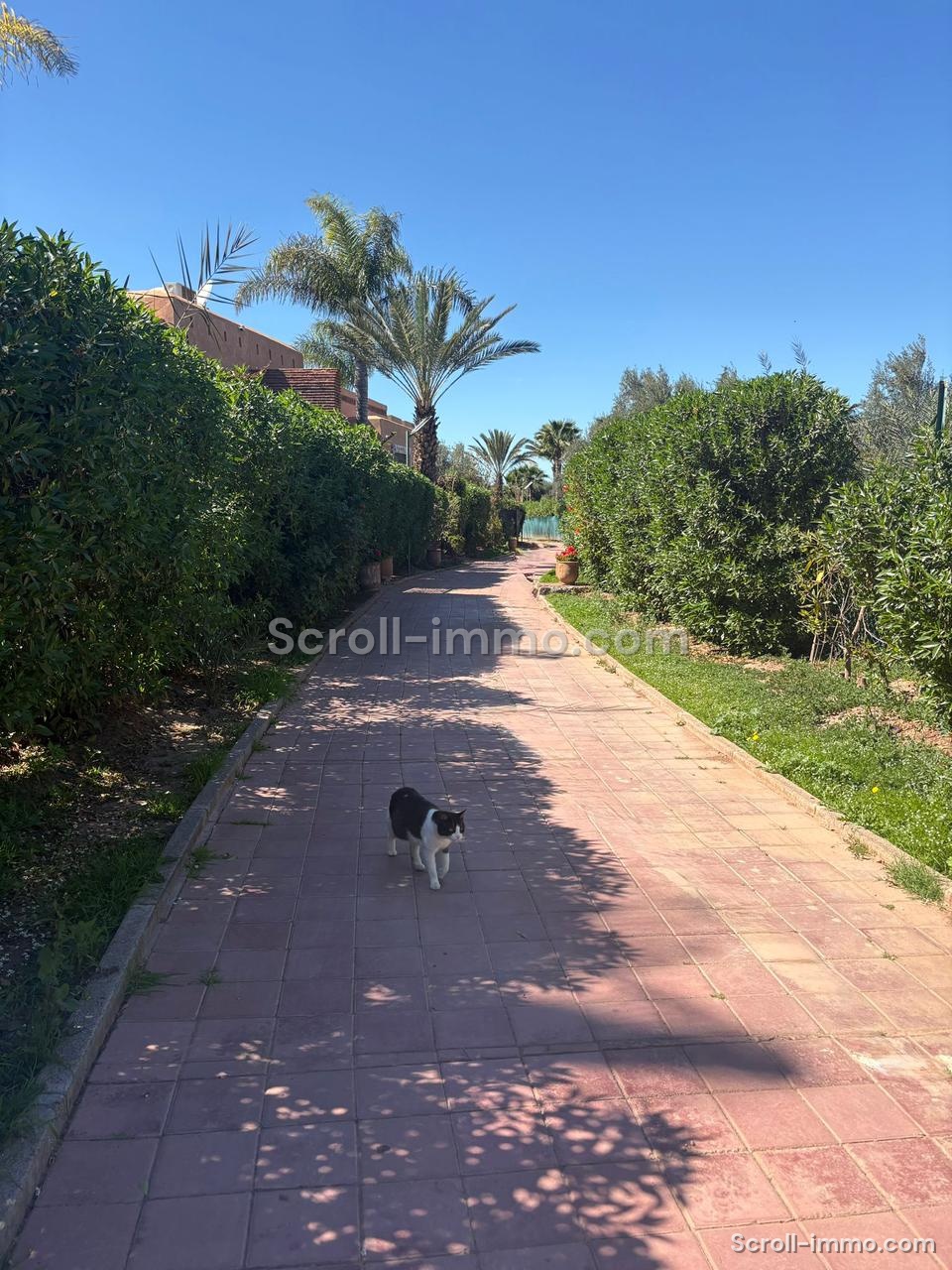 Superbe Villa avec Vue Atlas – Route de Fès (20 km)