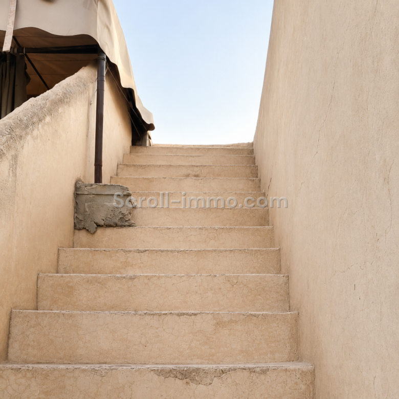 Grand Riad 256 m² Réquisition en cours – Bab Khemis