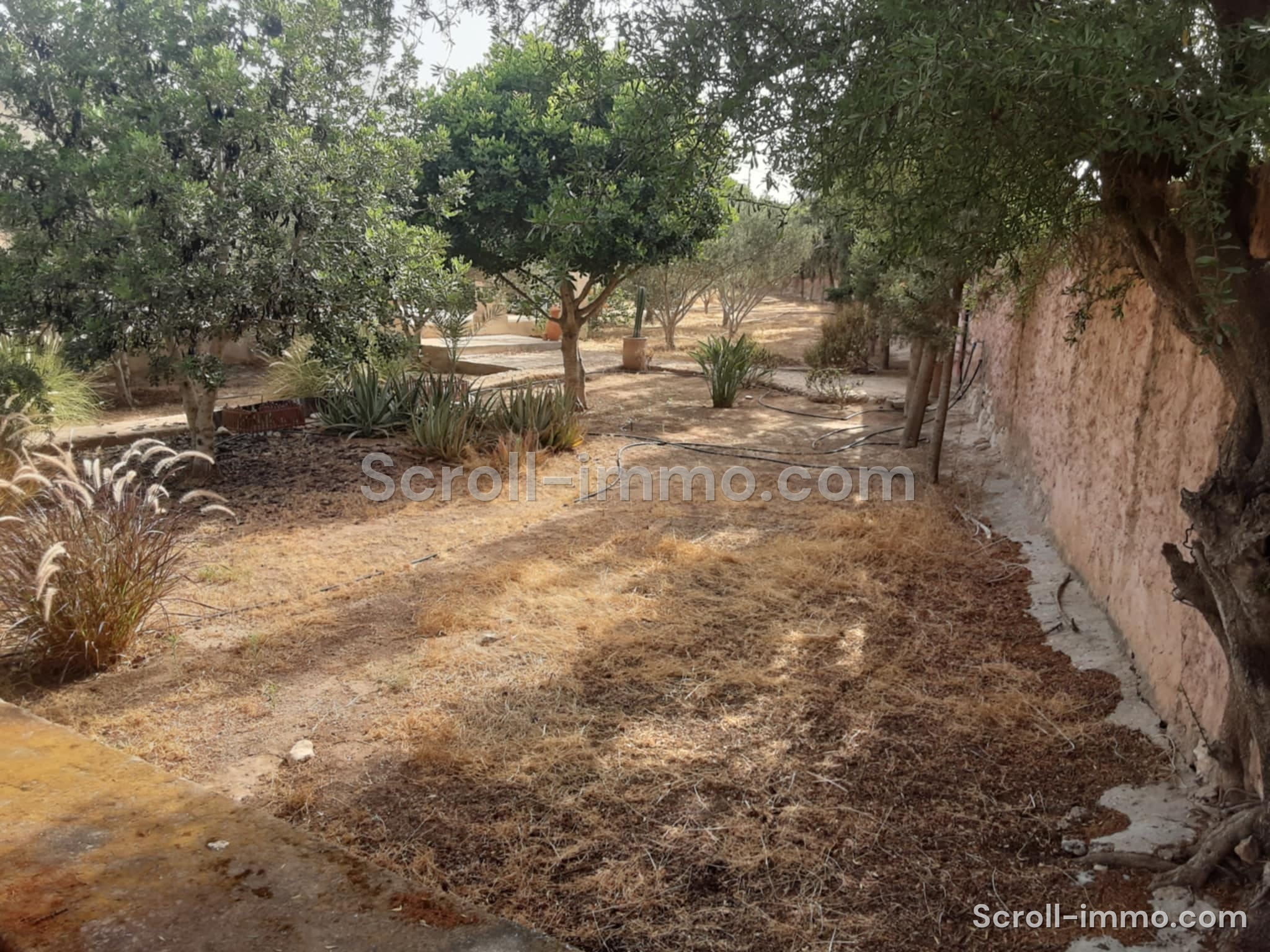 Villa titrée 150m2 sur parcelle 3900m2 – Essaouira