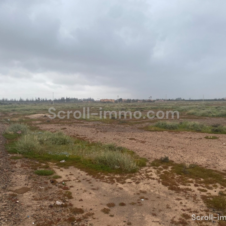 Terrain Premium – 36000m² à Bab Atlas