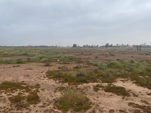 Terrain Premium – 36000m² à Bab Atlas