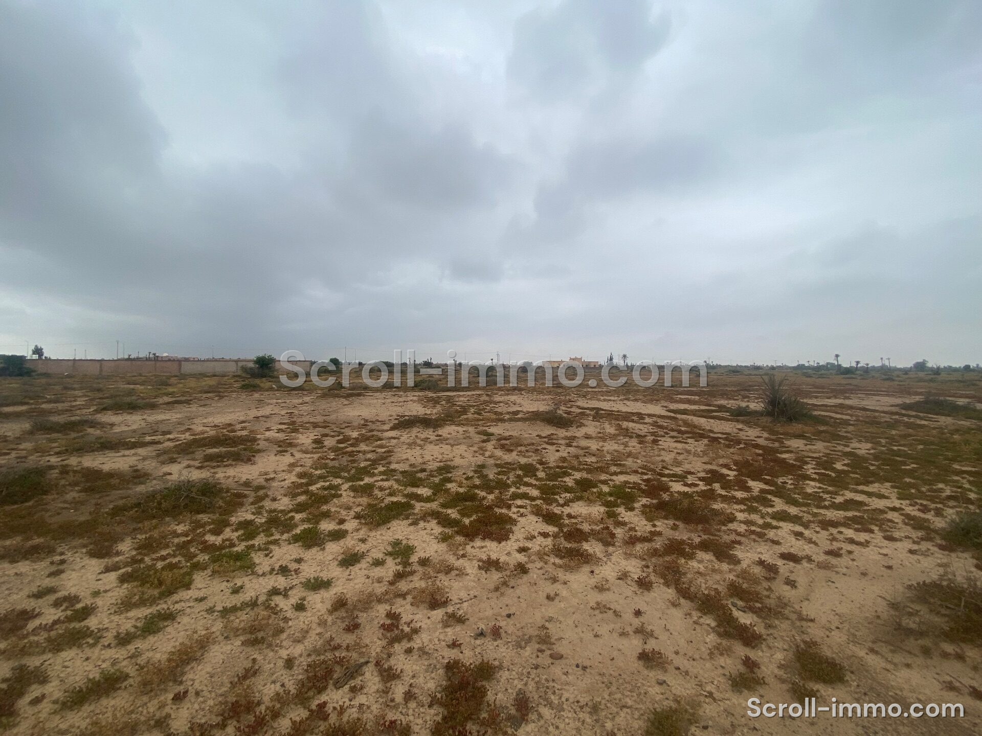 Terrain Premium – 36000m² à Bab Atlas