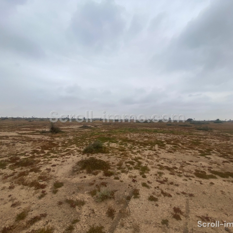 Terrain Premium – 36000m² à Bab Atlas