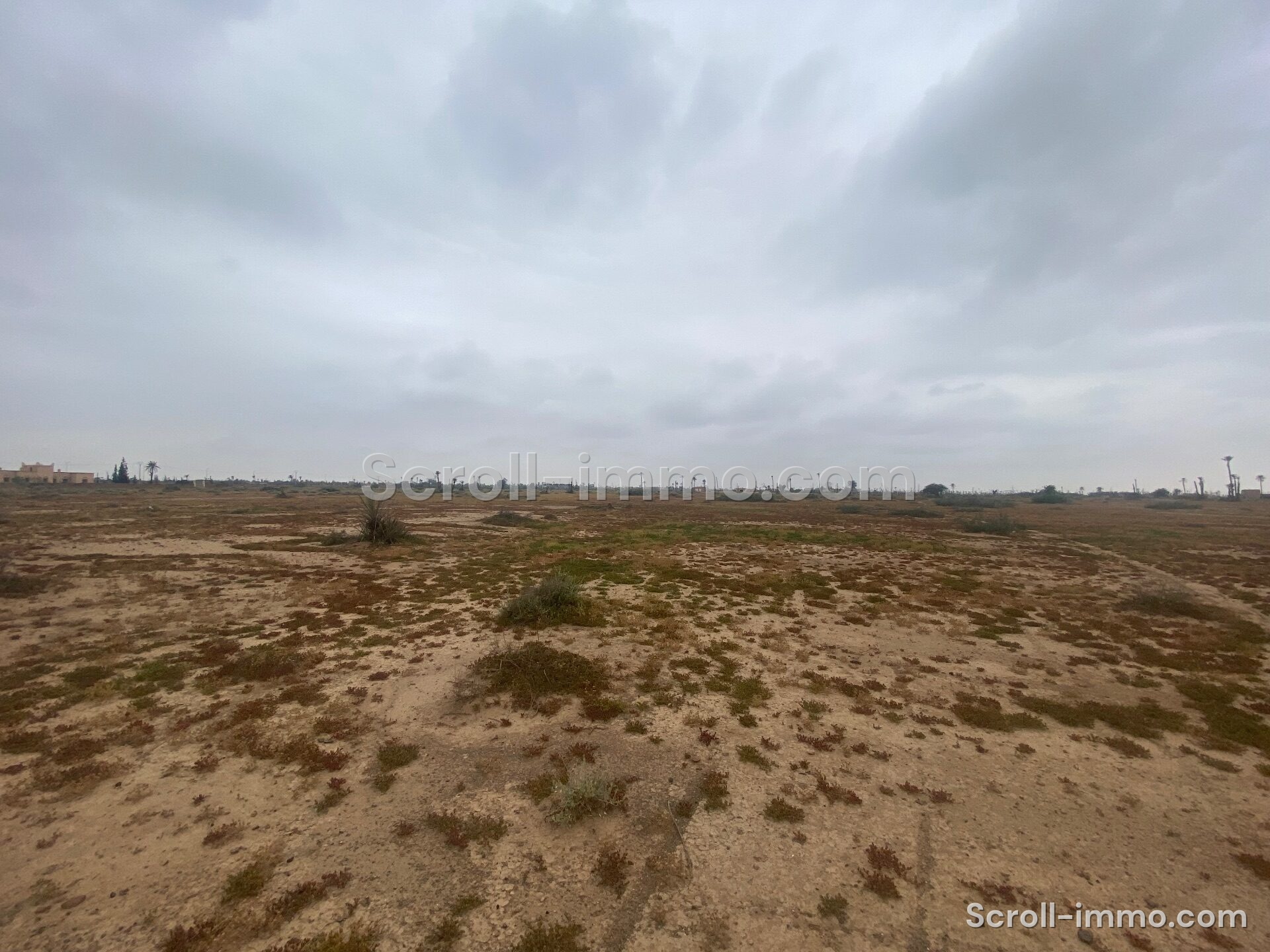 Terrain Premium – 36000m² à Bab Atlas
