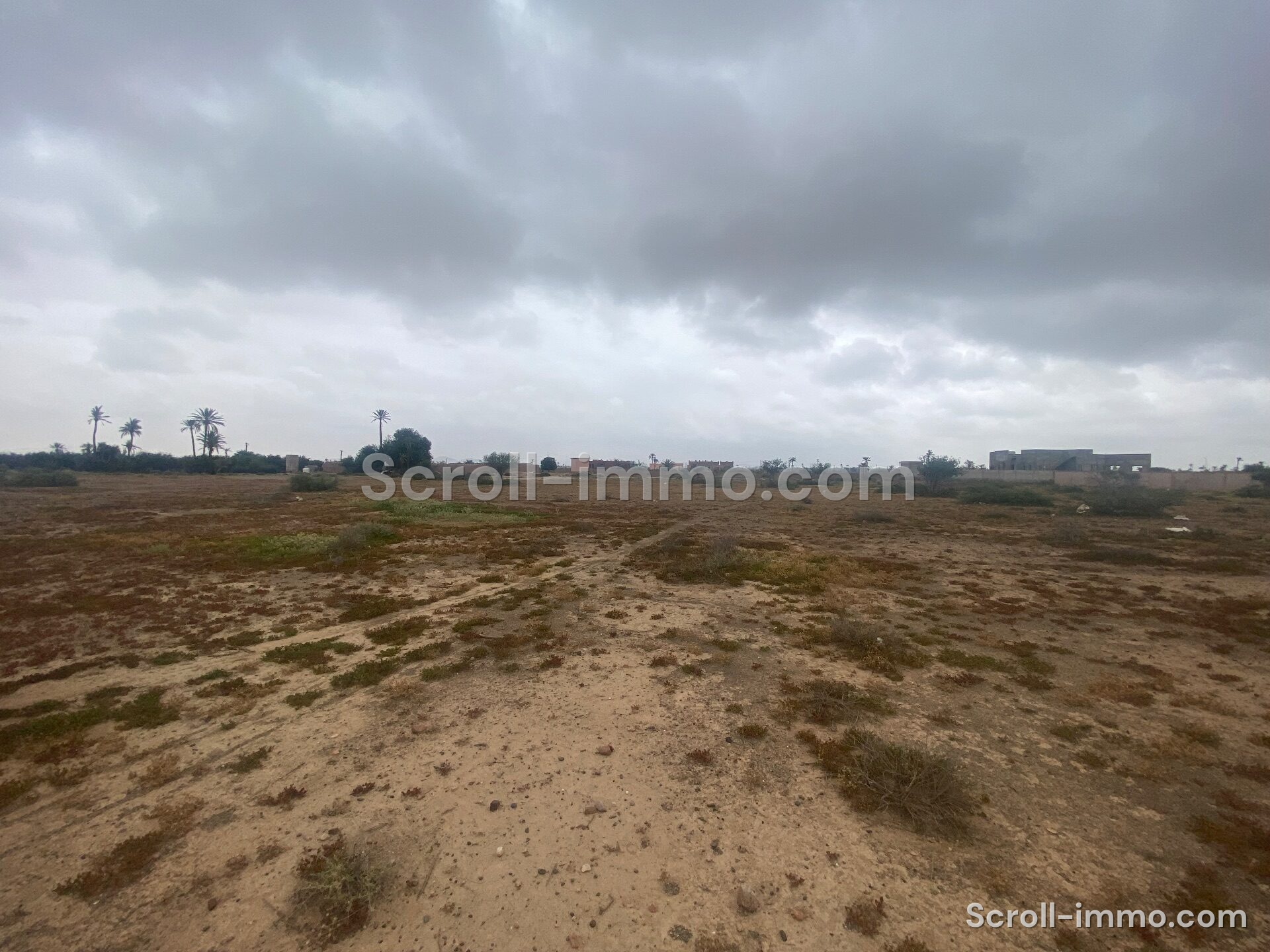 Terrain Premium – 36000m² à Bab Atlas