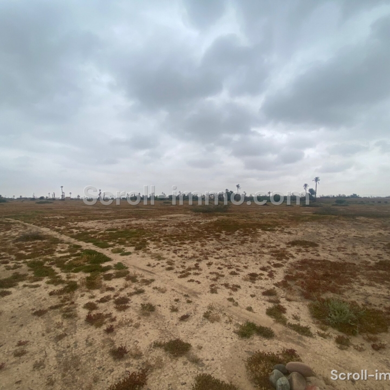 Terrain Premium – 36000m² à Bab Atlas