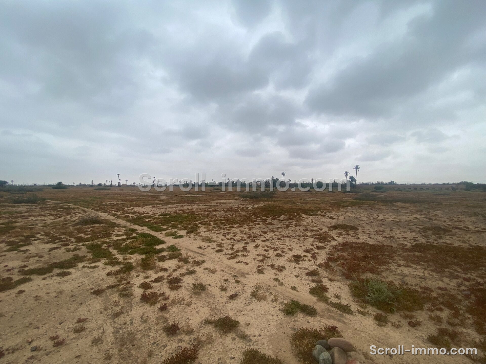 Terrain Premium – 36000m² à Bab Atlas