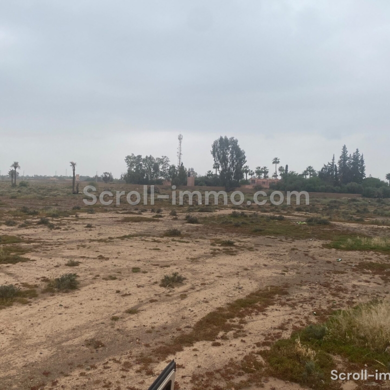 Terrain Premium – 36000m² à Bab Atlas