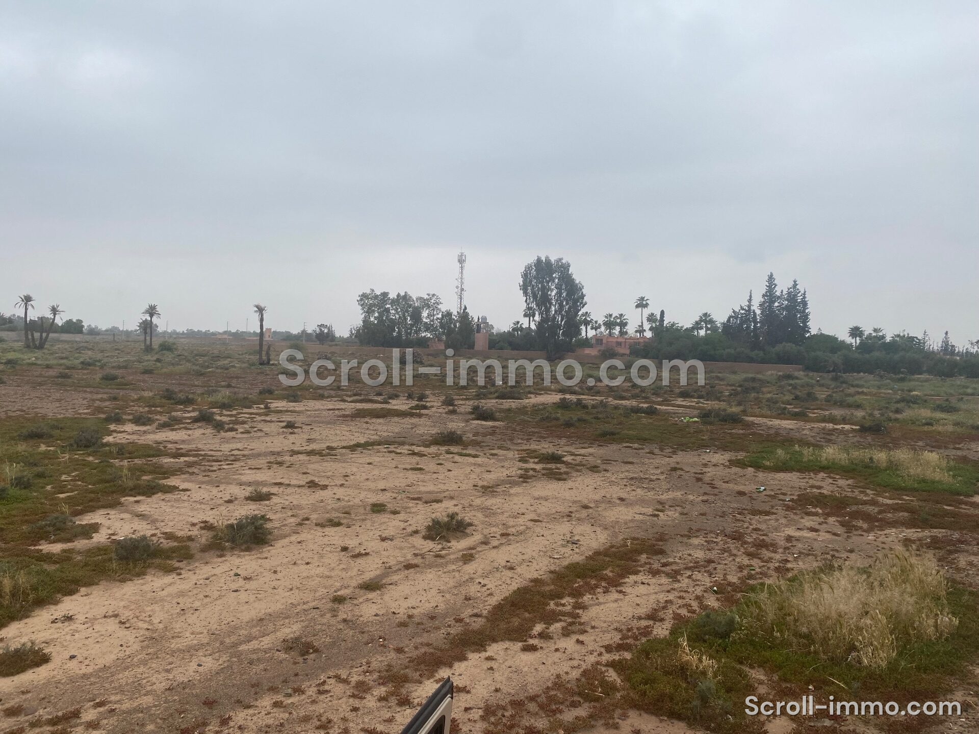 Terrain Premium – 36000m² à Bab Atlas