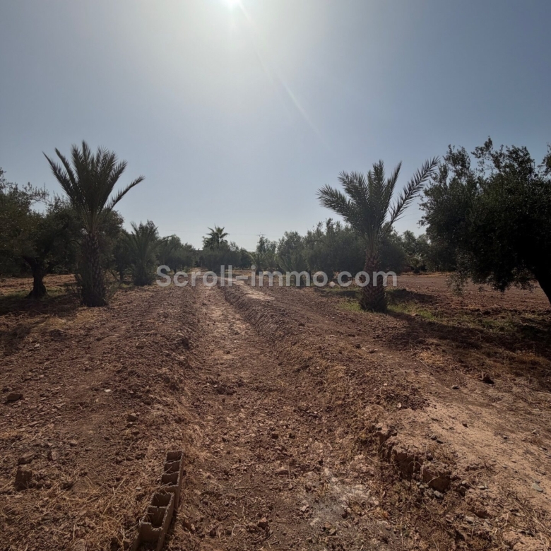 Villa style Riad – 1000m² à Route de l’Ourika