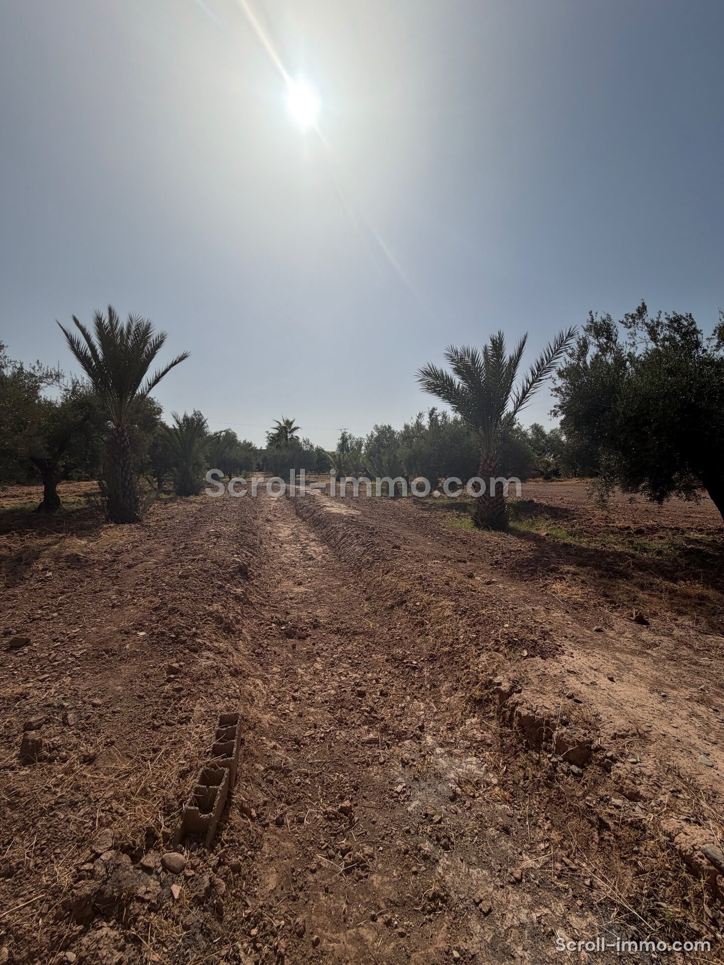 Villa style Riad – 1000m² à Route de l’Ourika