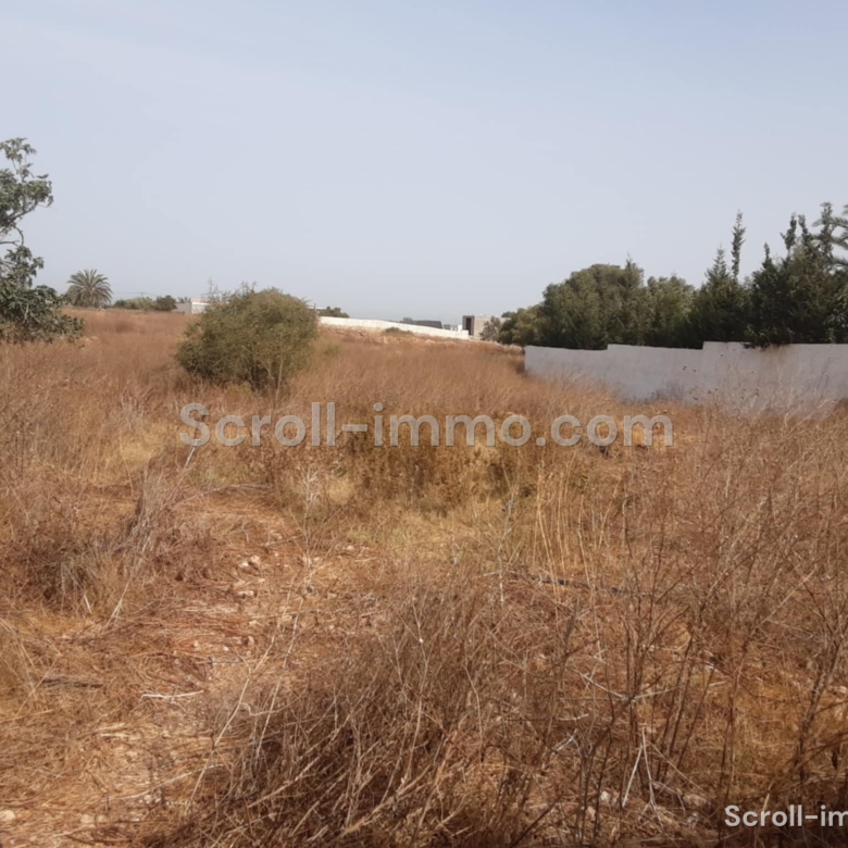 Villa titrée 150m2 sur parcelle 3900m2 – Essaouira