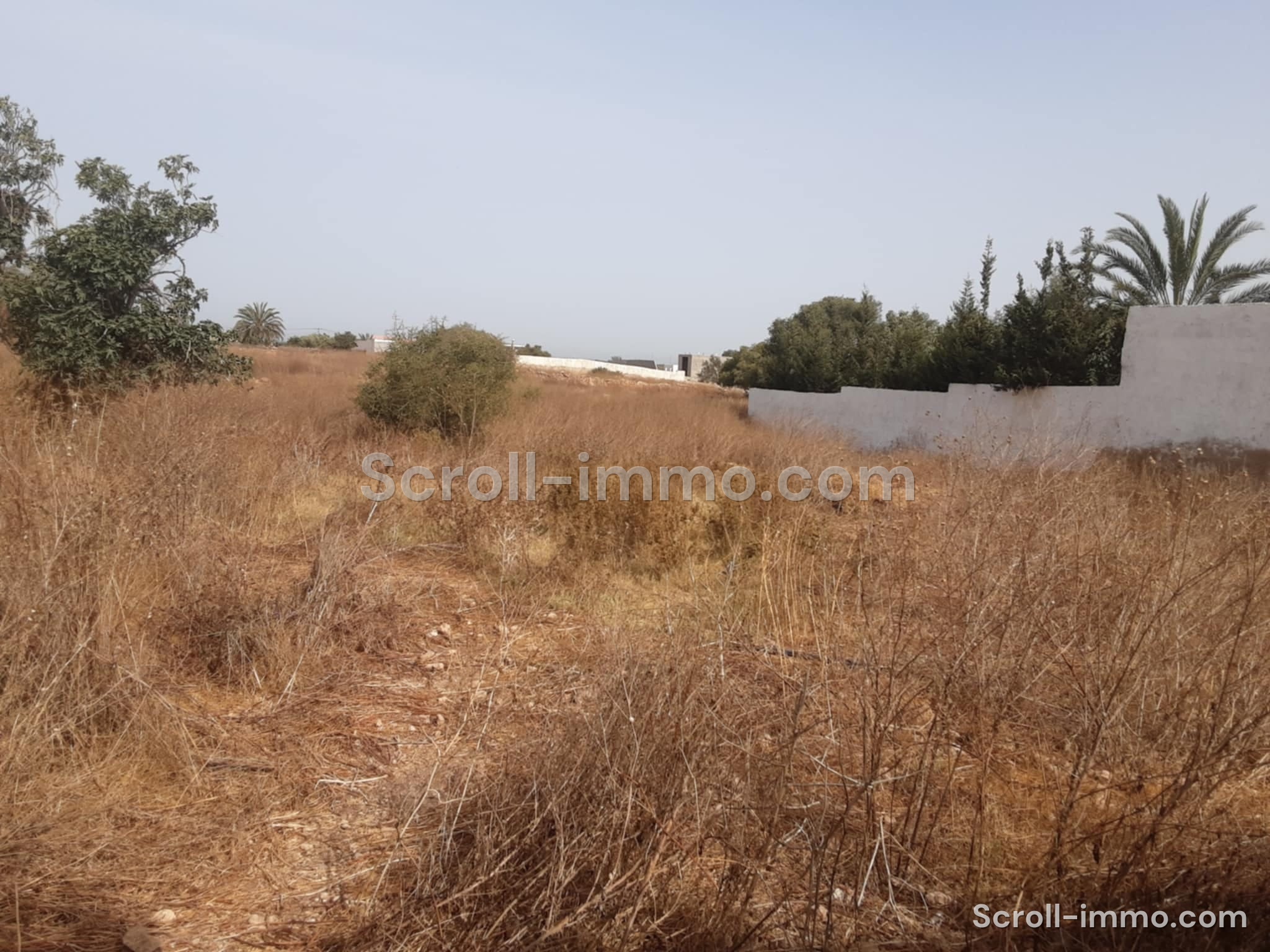 Villa titrée 150m2 sur parcelle 3900m2 – Essaouira