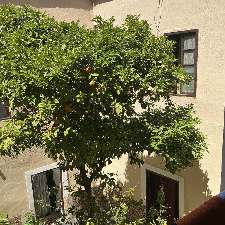 Riad 173m² 5 chambre à Riad Zitoun