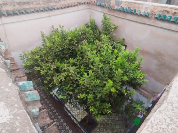 Riad 127m² à démolir Melkia – Quartier Rahba Kedima