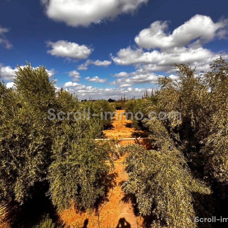 Ferme de prestige – Route de l’Ourika, Marrakech