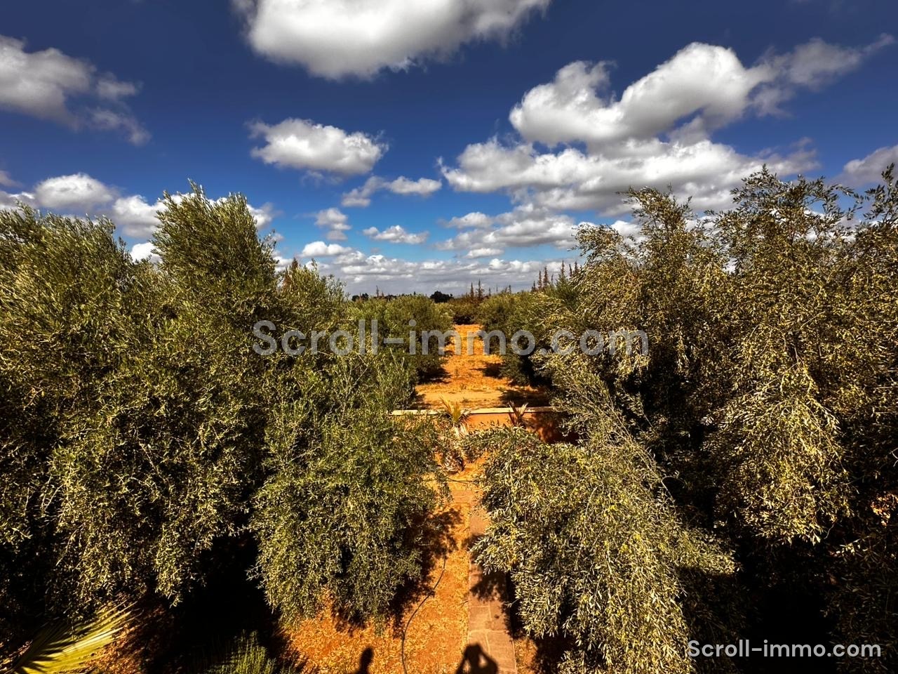 Ferme de prestige – Route de l’Ourika, Marrakech