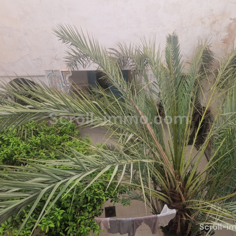 Riad 200m2 à rénover Melkia – Quartier Mouassine