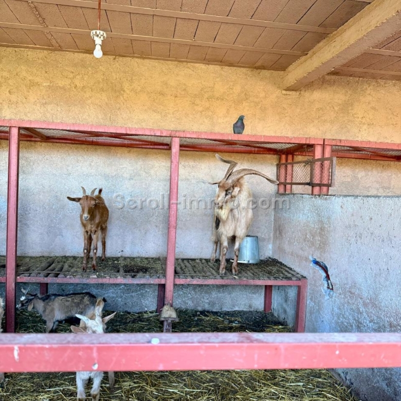 À vendre – Jolie ferme d’hôtes en activité aux portes de Marrakech