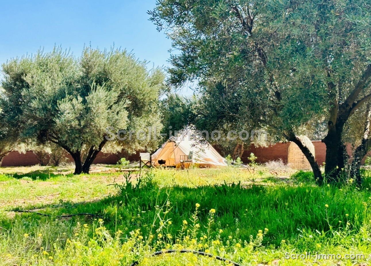 bien-20260711141905-d220d0 Ferme Écolodge à Route de l’Ourika