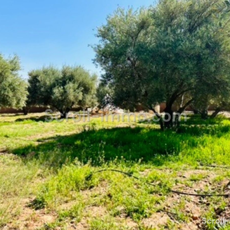 Ferme Écolodge à Route de l’Ourika
