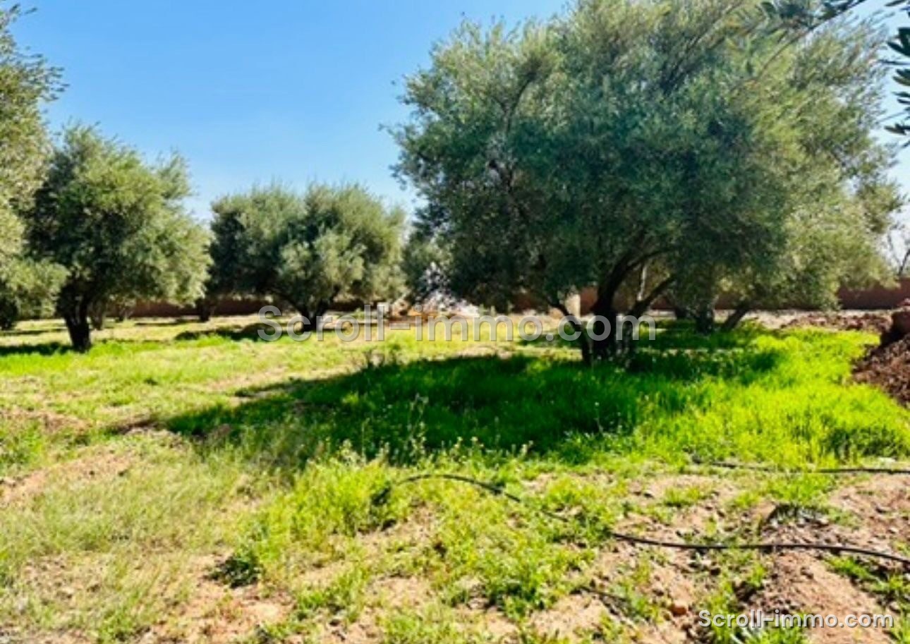 Ferme Écolodge à Route de l’Ourika