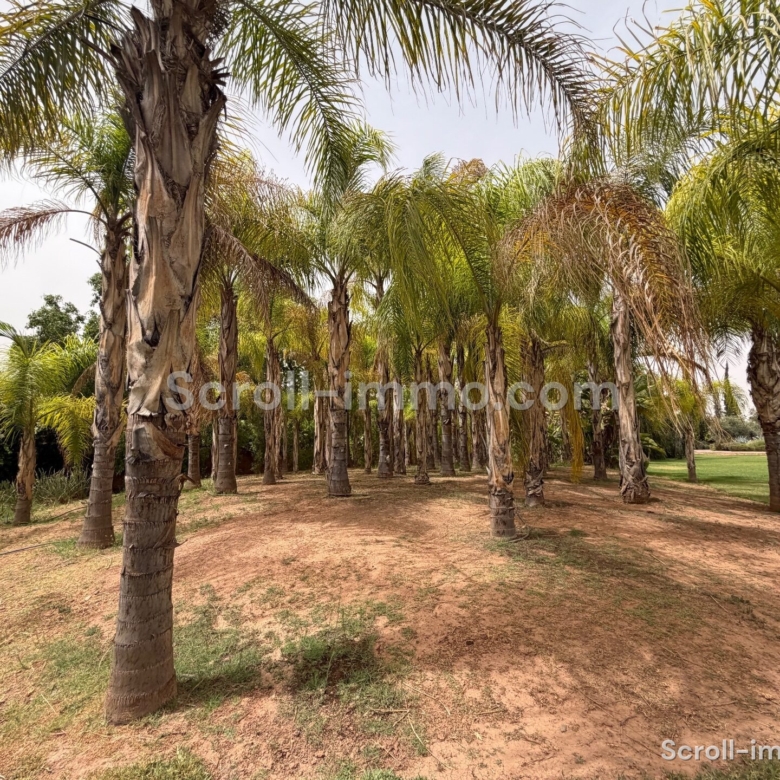 Villa de luxe – 2000m² à Route de l’Ourika