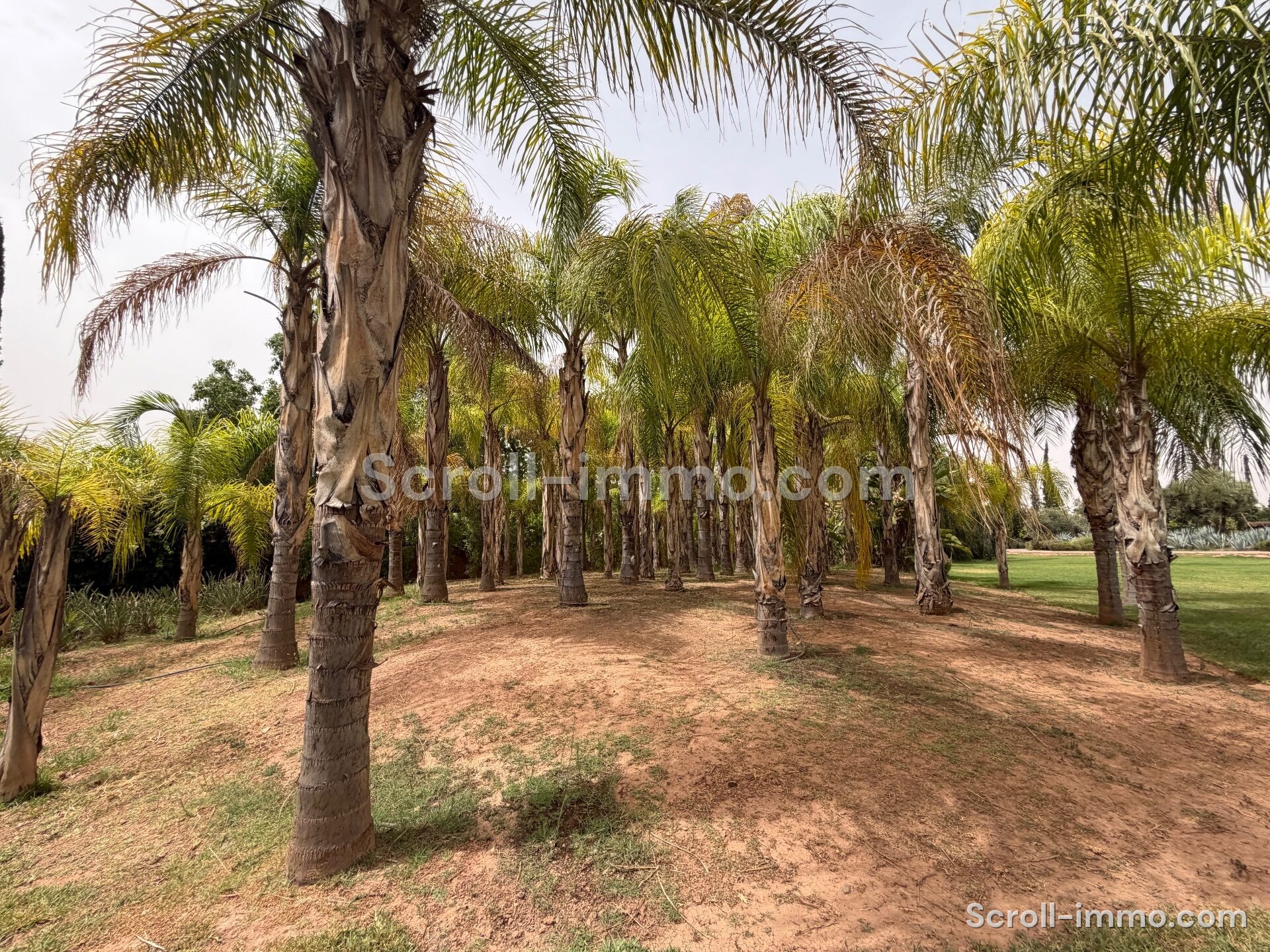Villa de luxe – 2000m² à Route de l’Ourika