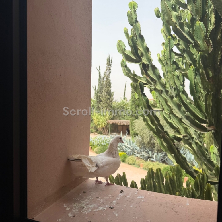 Villa de luxe – 2000m² à Route de l’Ourika