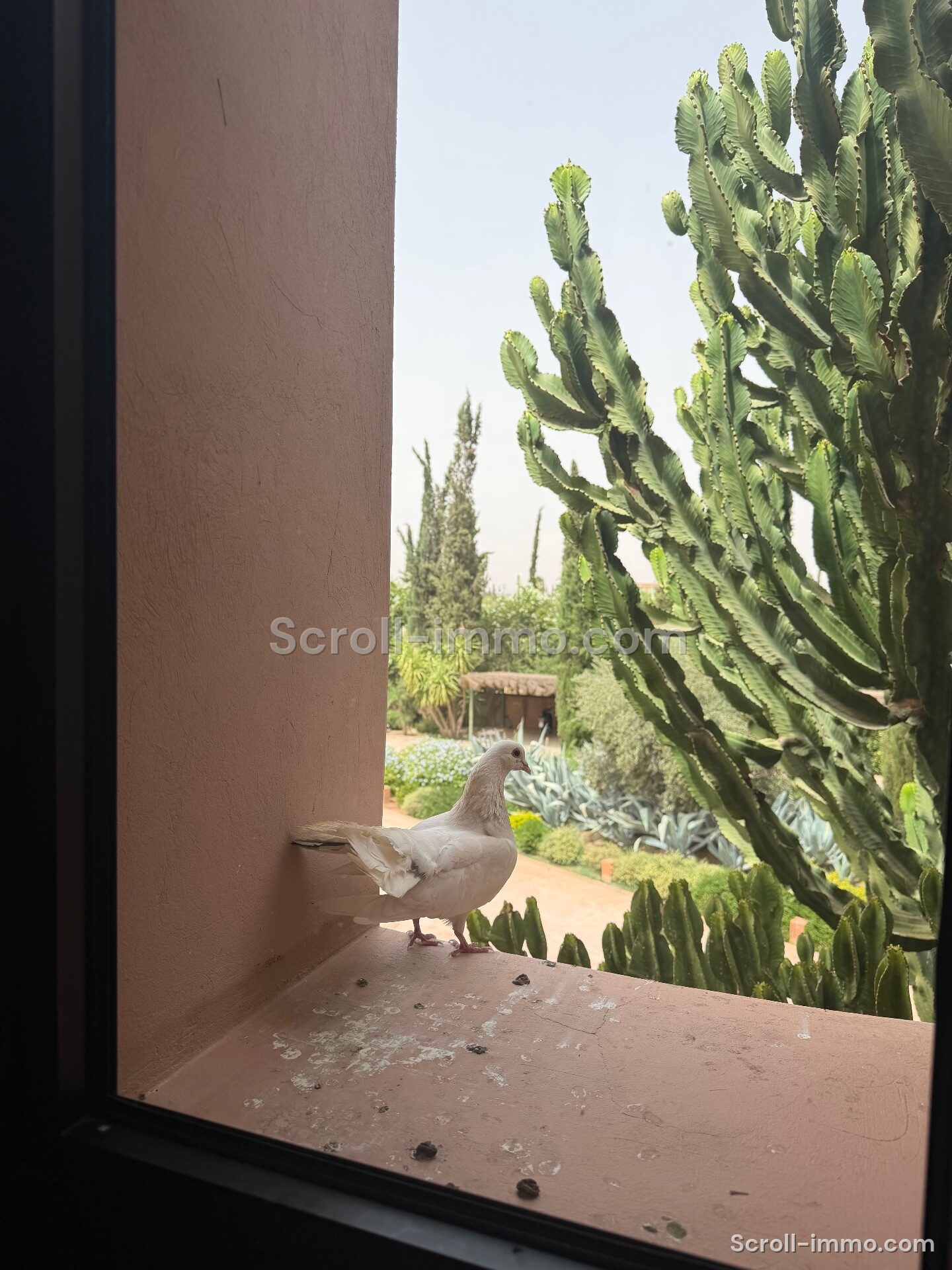 Villa de luxe – 2000m² à Route de l’Ourika