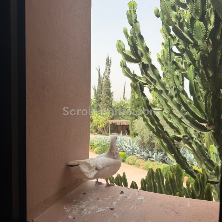 Villa de luxe – 2000m² à Route de l’Ourika
