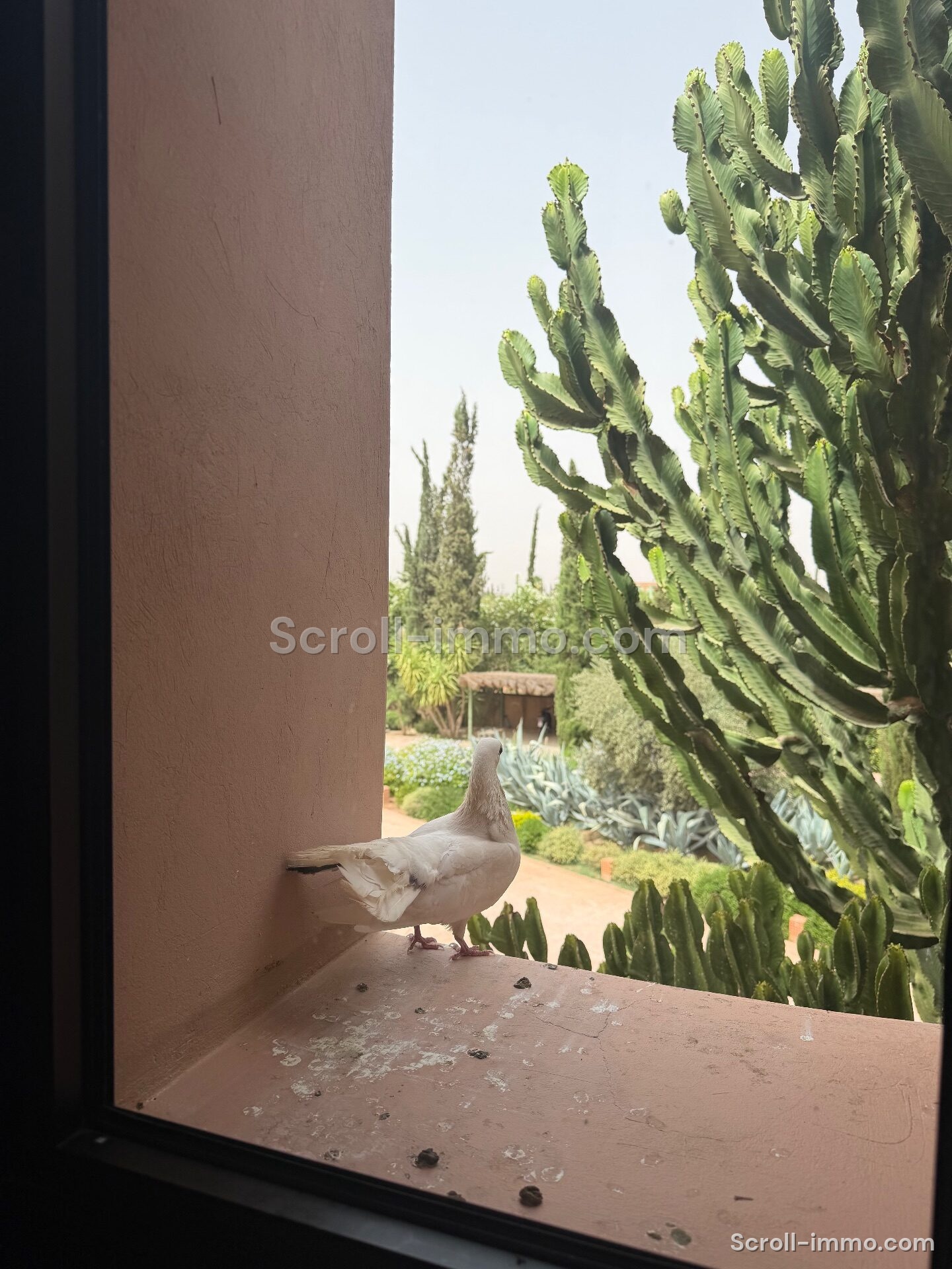 Villa de luxe – 2000m² à Route de l’Ourika