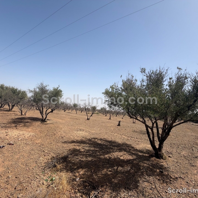 Lots de terrain – 11080m² à Route de l’Ourika -Marrakech