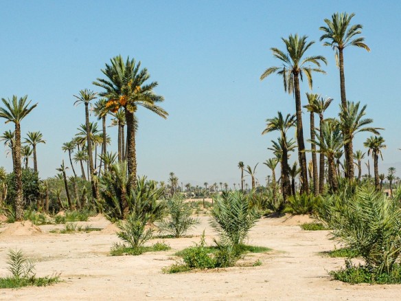 Palais d’Exception – 6300m² à Marrakech