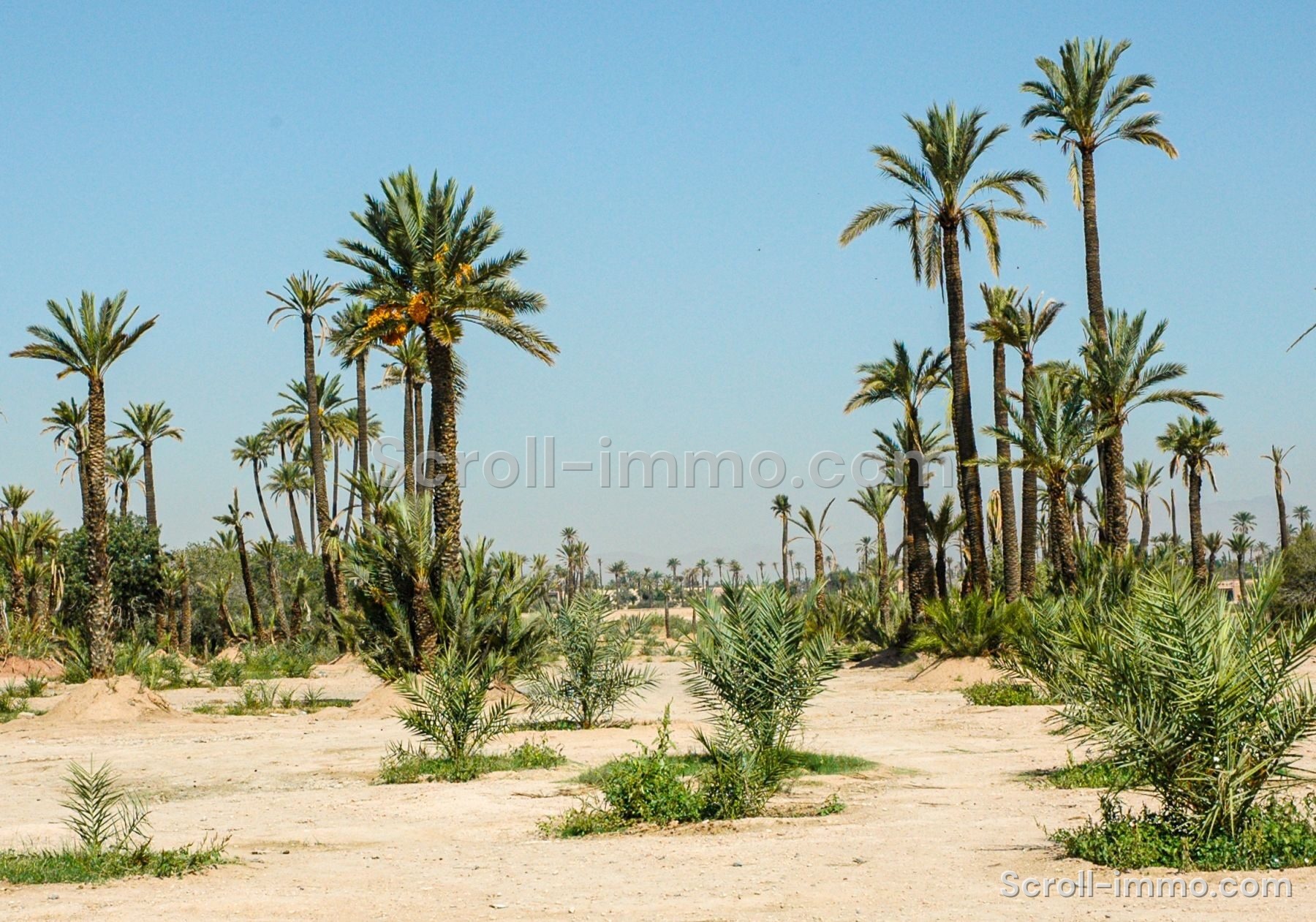 bien-20260928014910-932bfe Palais d’Exception – 6300m² à Marrakech