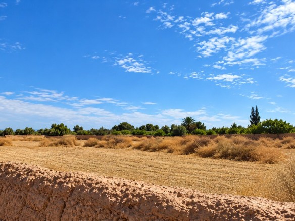 Terrain titré – 20000m² à Route de l’Agafay