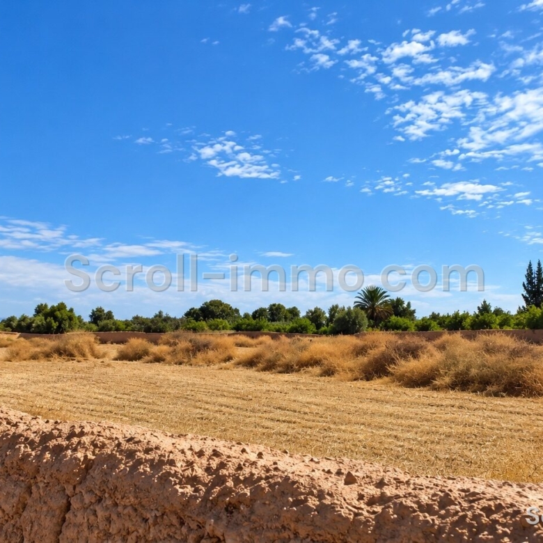Terrain titré – 20000m² à Route de l’Agafay